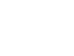 Logo Viasit weiß