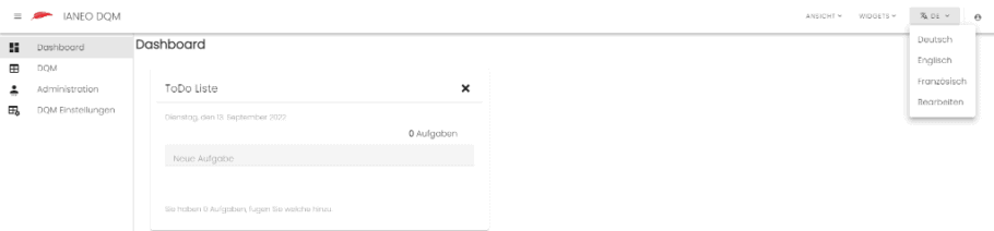 Screenshot aus dem Data Quality Tool von IANEO: Einstellungen zur Systemsprache